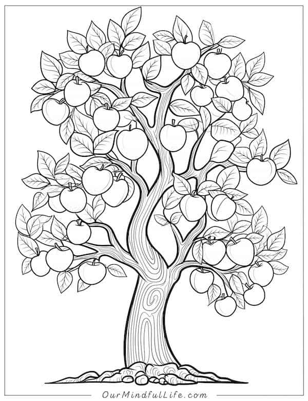 Apple tree coloring page