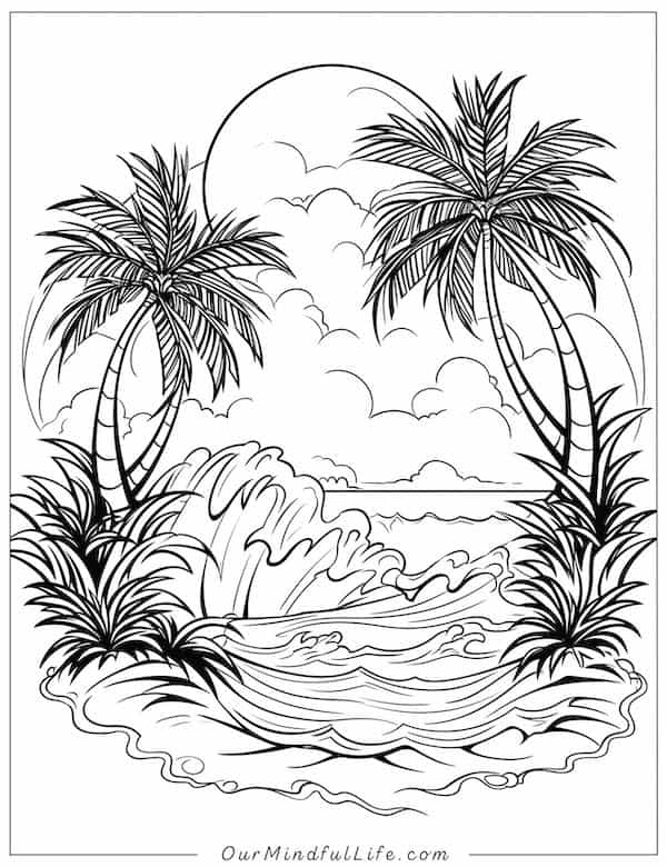 Beach and palm trees