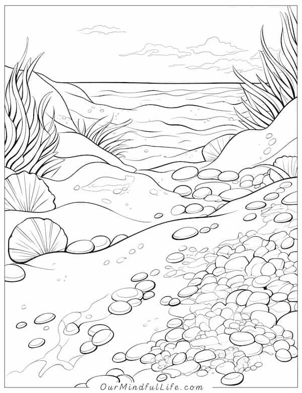 Beach with pebbles and sea shells