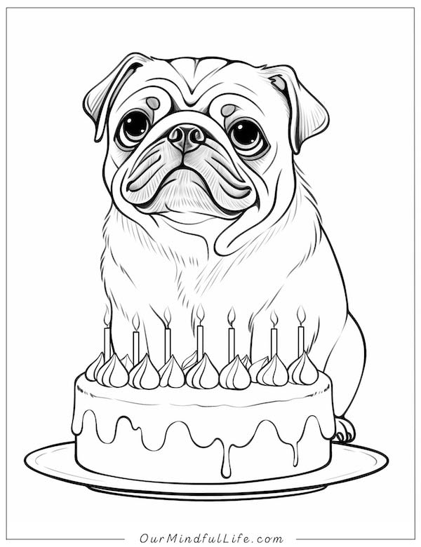 Birthday pug coloring page