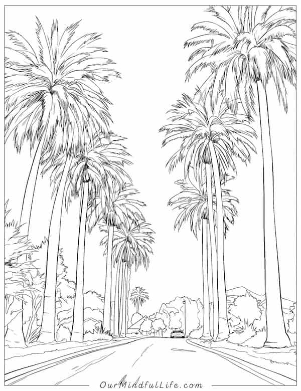 California palm trees coloring page