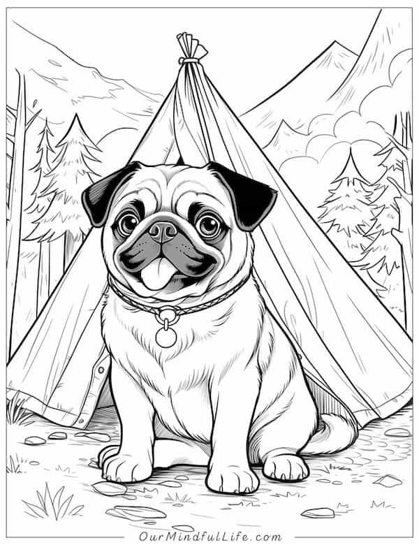 Camping Pug coloring page
