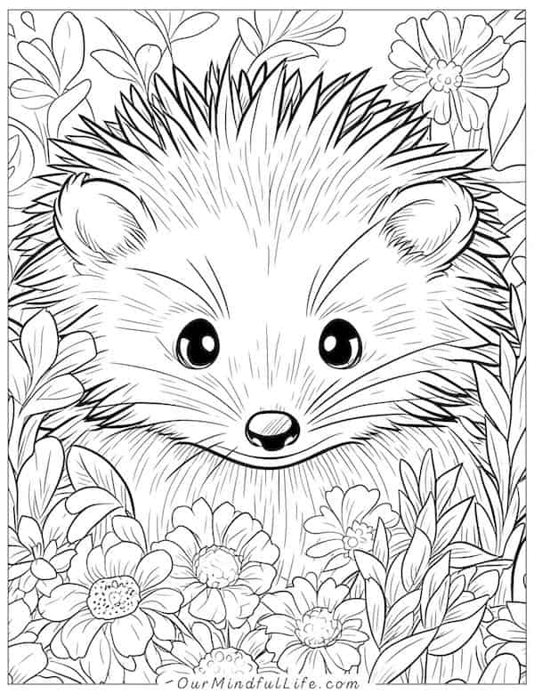 Flowers around a hedgehog coloring page
