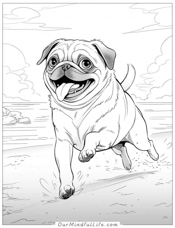Happy pug on the beach coloring page