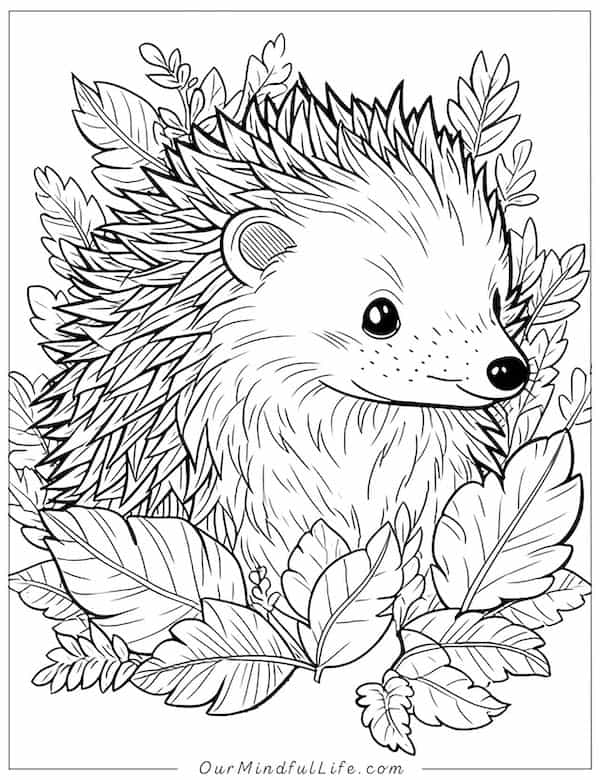 Intricate botanical-theme hedgehog coloring page