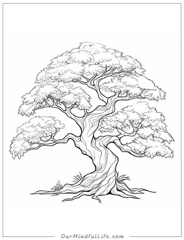 Lush Life_realistic tree coloring page