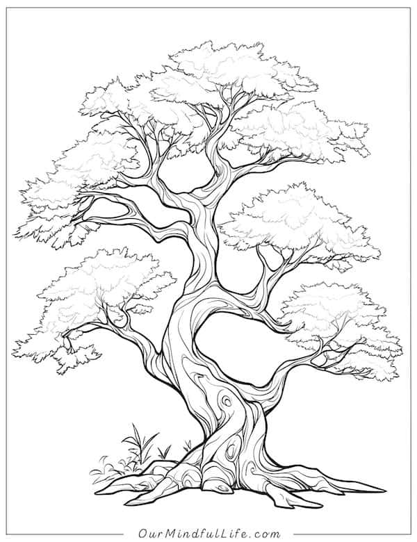 Lush Life_realistic tree coloring page
