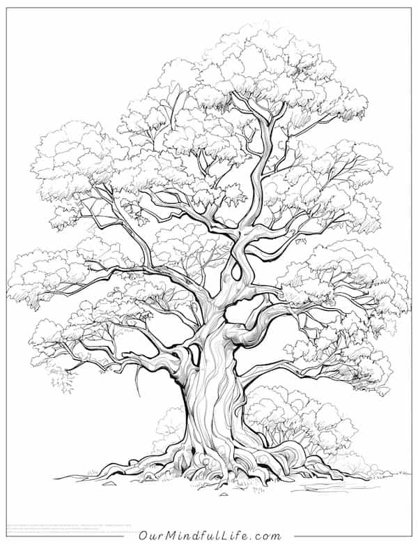 Old elm tree coloring page