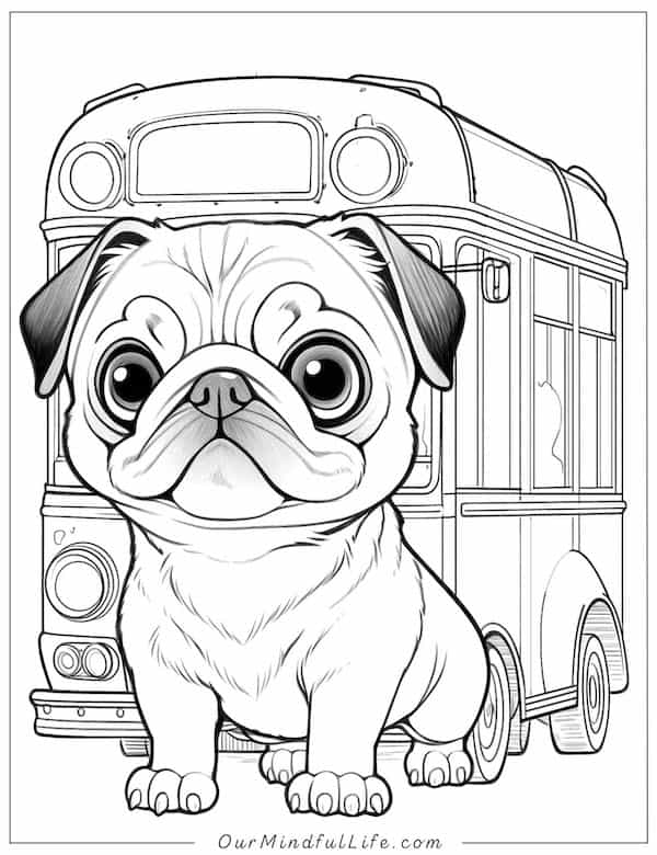 Pug and school bus coloring page