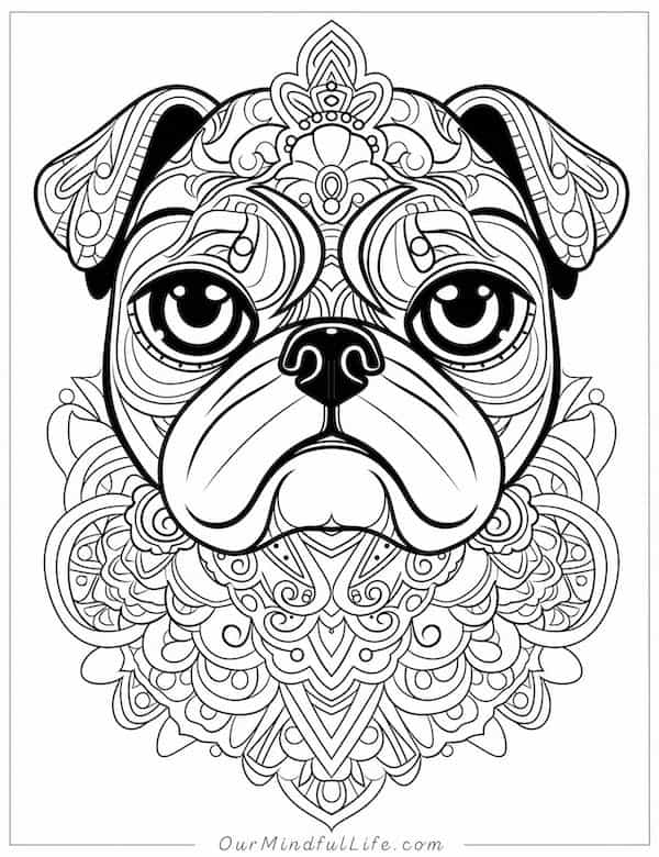 Pug mandala coloring page
