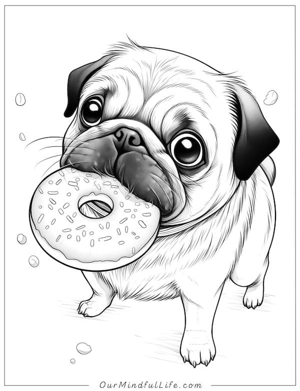 Pug-nificent donut delight
