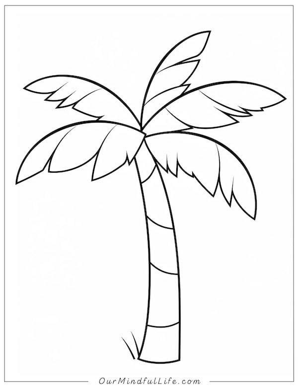 Simple palm tree coloring page