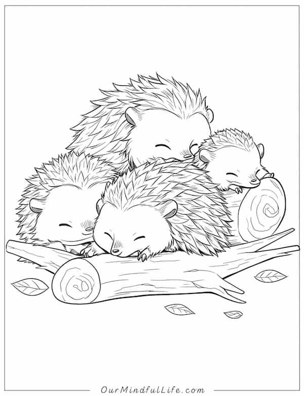 Sleeping hedgehog family coloring page