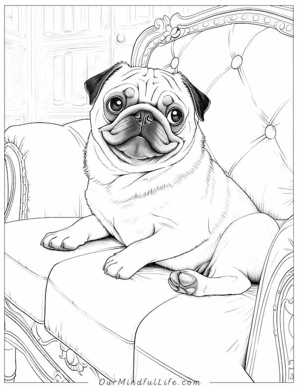 The chilling pug coloring page