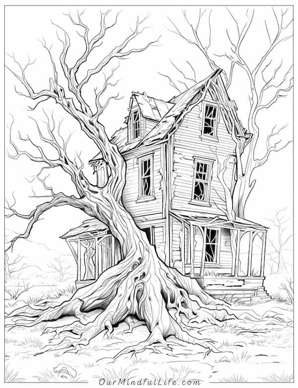 Trees and a haunted house
