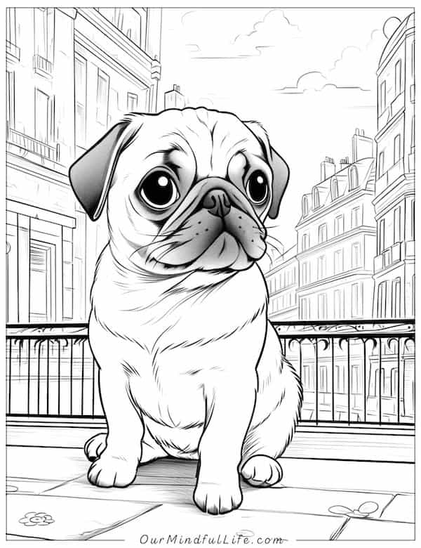 Urban pug coloring page