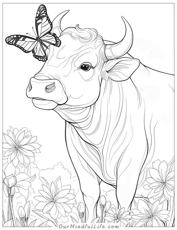 Cow and butterfly coloring page