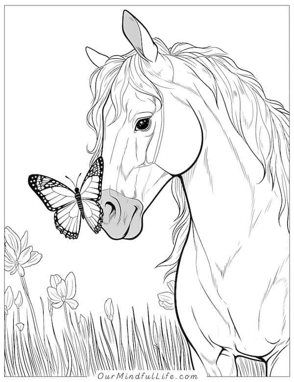 Horse and butterfly coloring page