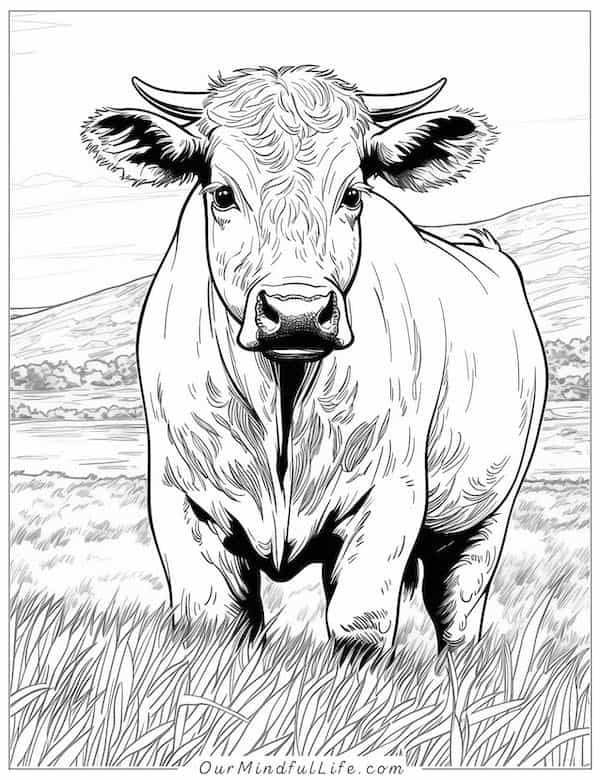 Realistic cow on the farm coloring page